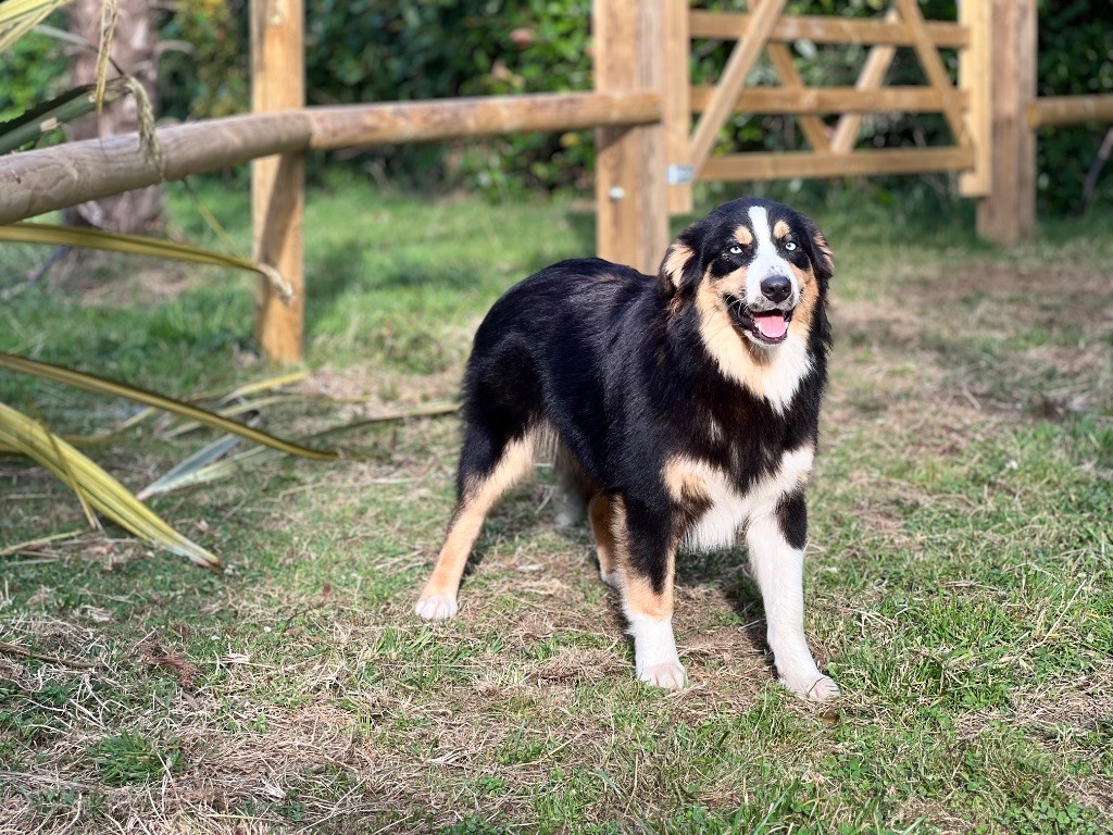 Viva la vida venuss by lucky